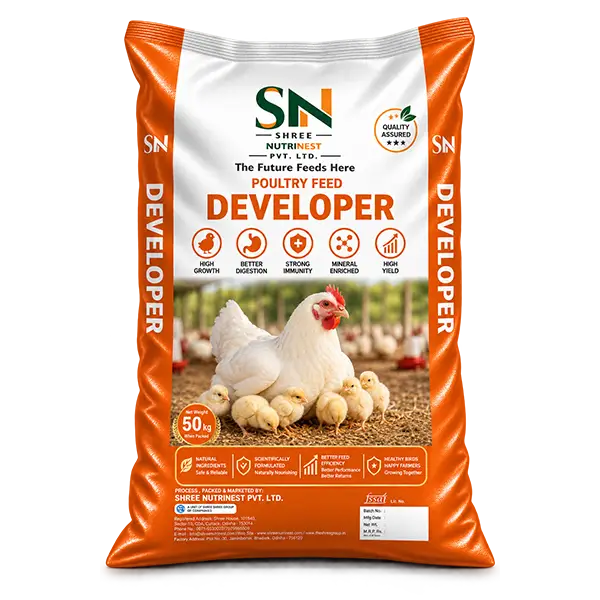 Developer