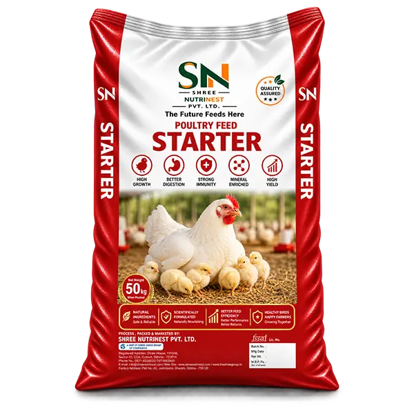 Starter