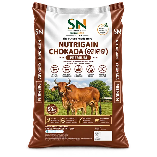Nutrigain Chokada Premium