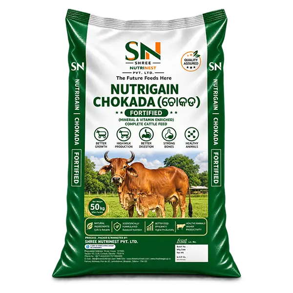 Nutrigain Chokada
